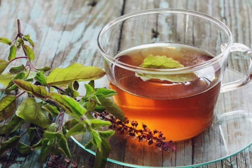 Tulsi Green Tea Benefits In Hindi