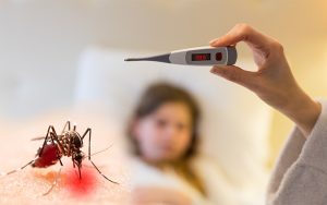 डेंगू हैमरेजिक बुखार